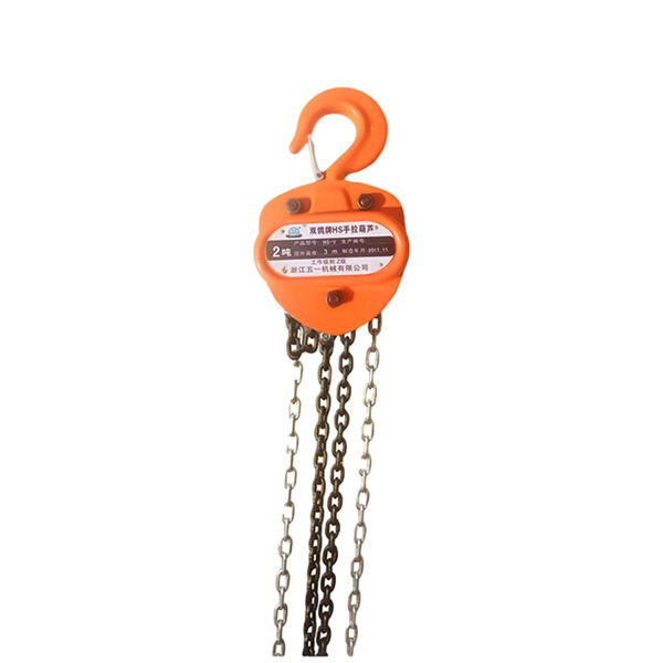 Maximize Your Workflow with the Sleek and Strong Hoist Chain Block System.