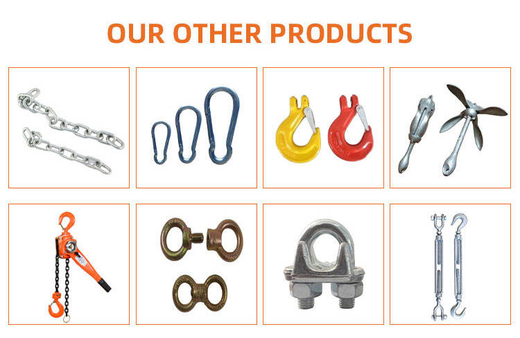 Rigging Hardware 304 Stainless Steel European Type D Shackles factory