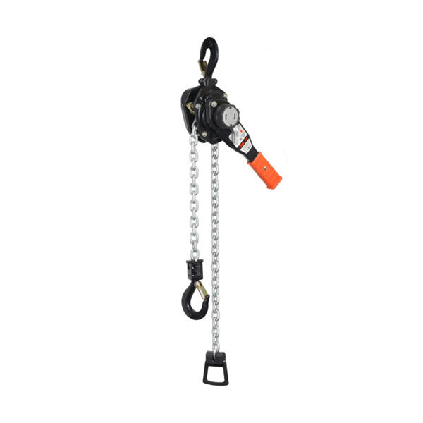 Efficient and durable 2-ton chain hoist for industrial applications