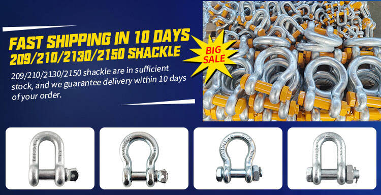 Rigging Hardware 304 Stainless Steel European Type D Shackles factory