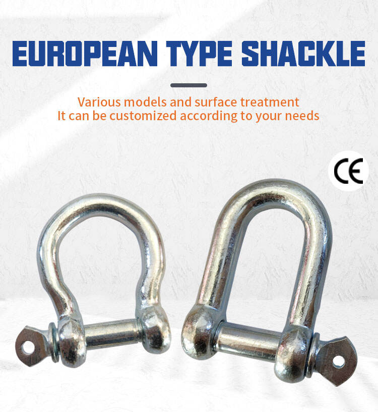 Rigging Hardware 304 Stainless Steel European Type D Shackles supplier