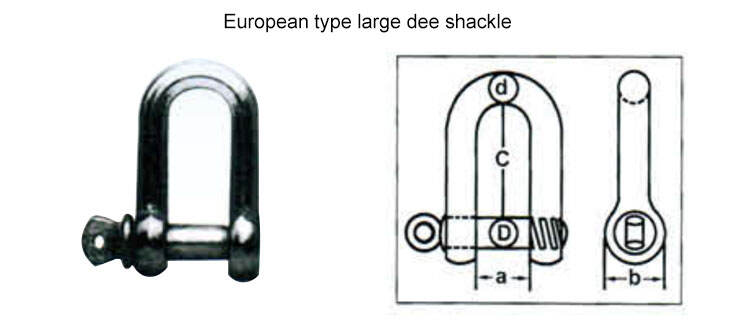 Rigging Hardware 304 Stainless Steel European Type D Shackles factory