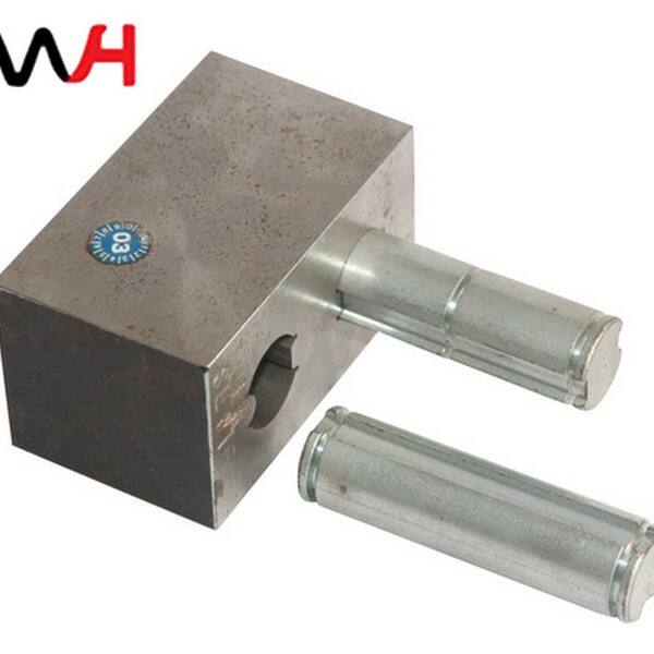 Gumawa ng Custom naITSulong gamit ang Maagang Stainless Steel Fittings