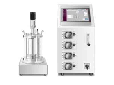 Karıştırmalı Tank Reaktörleri Türleri: Tek Katmanlıdan Ceketli ve Basınçlı Reaktörlere (Kapsamlı Kılavuz)