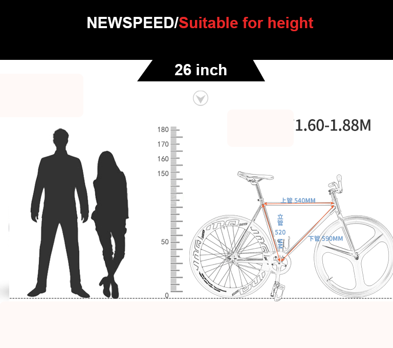 26inch Carbon Steel Mountain Road Bycicle/Road Bikes/Fixed Gear Bicycle Factory Hotsale Carbon Road Bike Bicycle supplier