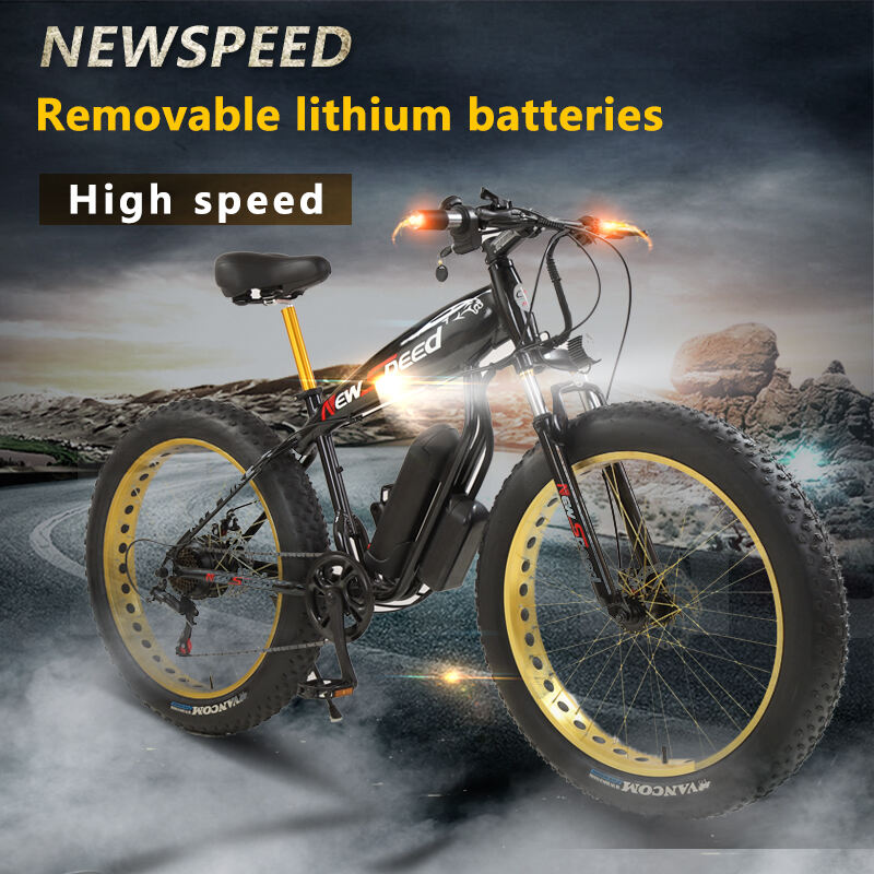 Fast Delivery Cheap High Quality Bike 26inch  Fat Bike Ebikes/Fat Tire 1000Watt Electric Bicycle manufacture