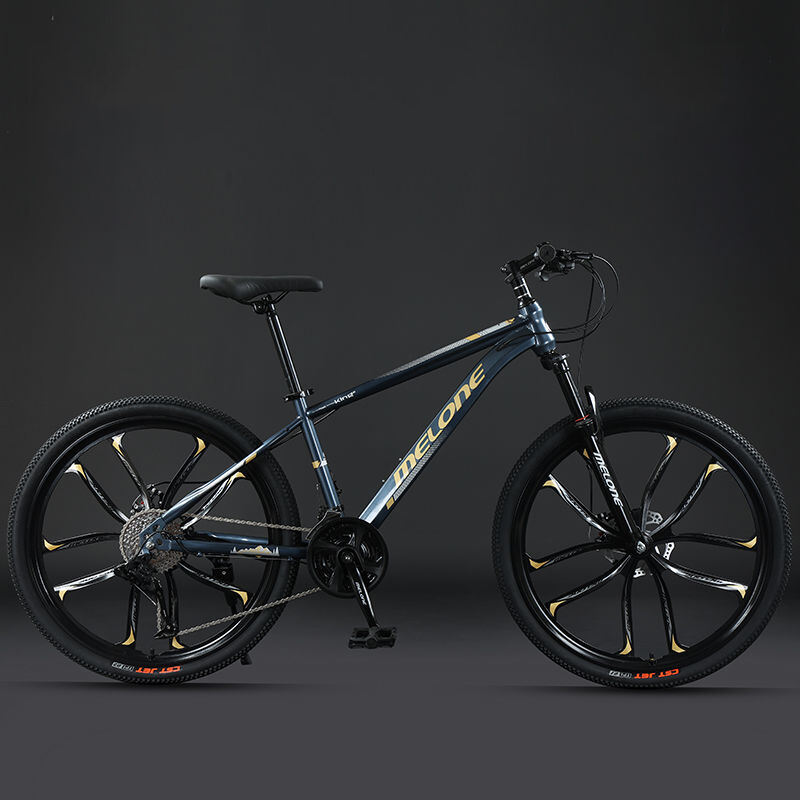 26'' Downhill Mountain Bike New Design Carbon Steel Frame Aluminum Alloy Handle Bar Suspension Fork Disc Brake Braking System supplier