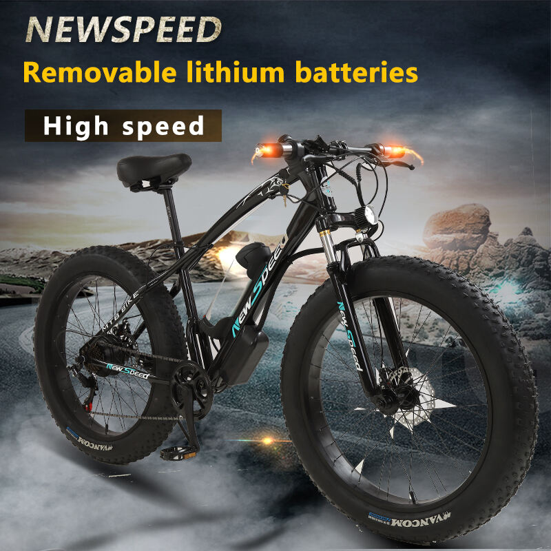 2021 New Style Electric Bike Bicycle Steel Frame Cheap Transportation 48V 300W E-Bike Fat Bike supplier