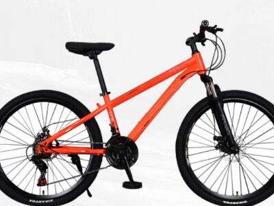 Case Study: Top-Selling Models from a Leading Mountain Bike Manufacturer