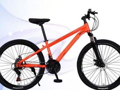 Top 10 mountain bike manufacturers in China