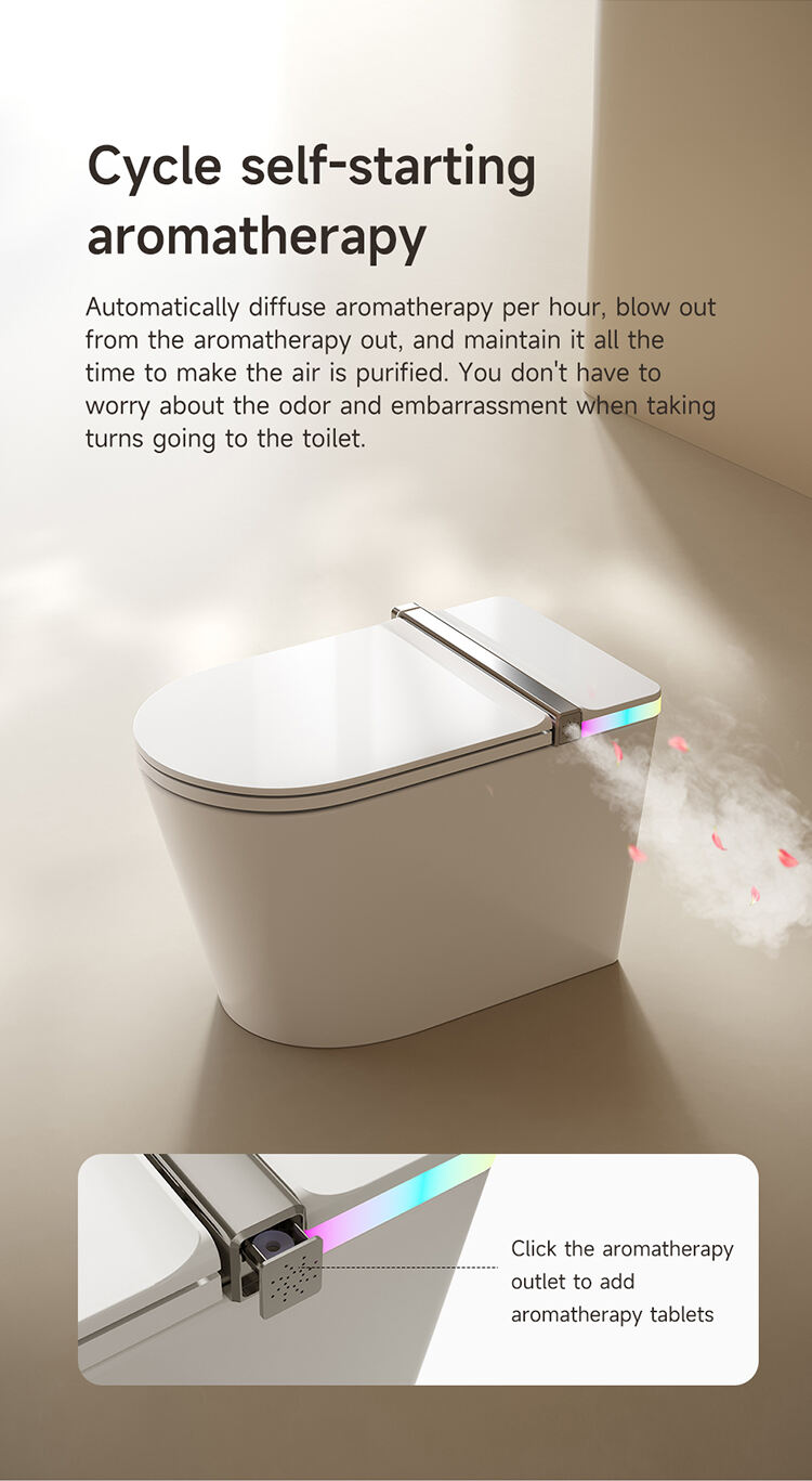 Automatic self-clean sanitary ware smart bidet toilet ceramic intelligent toilet bowl bathroom wc smart toilet details