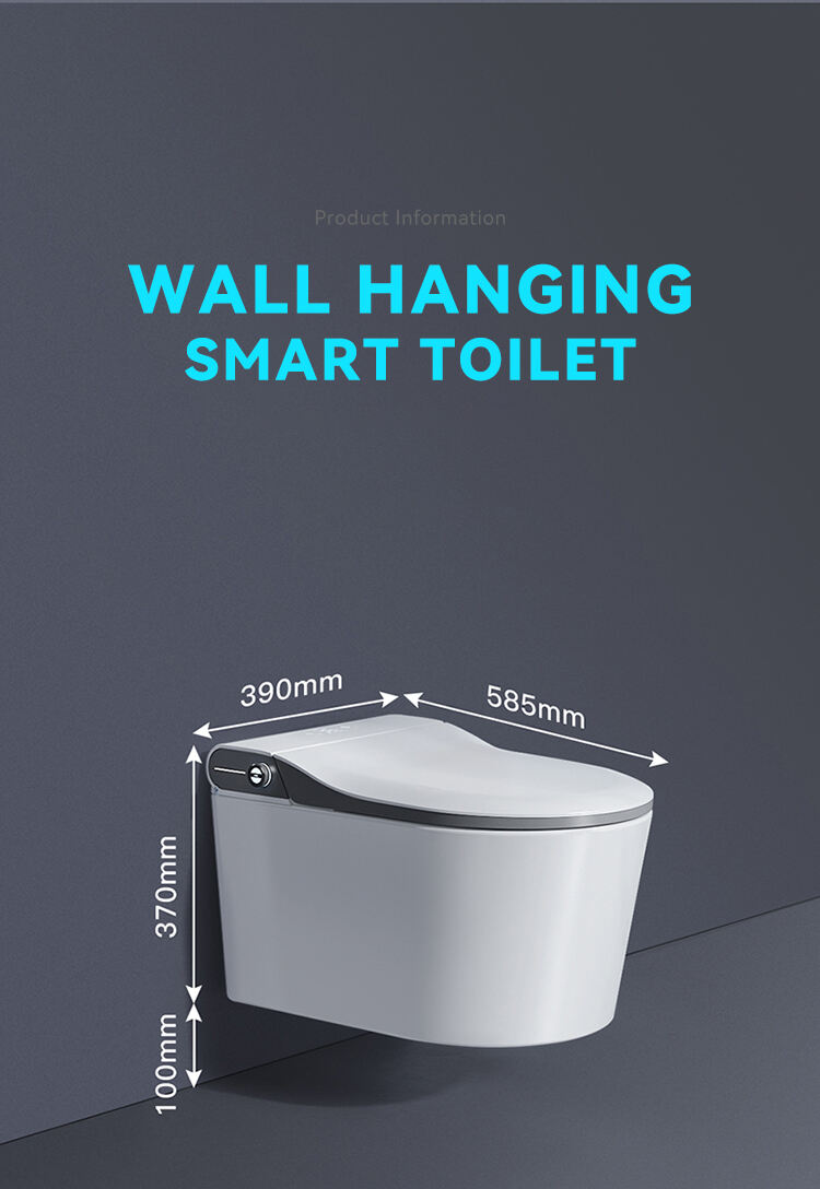 Concealed Cistern Back To Wall Intelligent Wc Wall Hung Toilet Bowl Automatic Toilet Bidet Bathroom Wall Hung Smart Toilet supplier