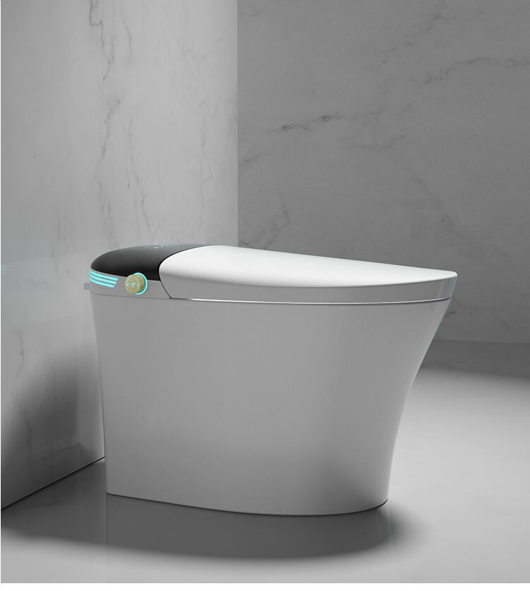 Modern Bathroom Ceramic Floor Mounted Intelligent Inodoro One Piece Commode Automatic WC Toilet Bowl Bathroom Smart Toilet details