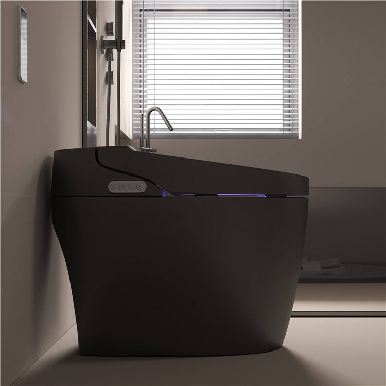 Luxury Automatic Flush Wc Intelligent Toilet Bowls Bathroom Ceramic Intelligent Wc Black Smart Toilet supplier