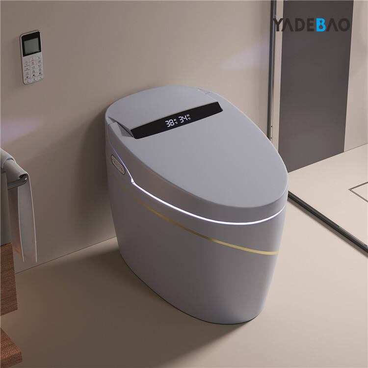 Floor Mounted Ceramic Automatic Toilet Bowl Bathroom Water Closet Orange Gold Smart Toilet Intelligent Wc Toilet details