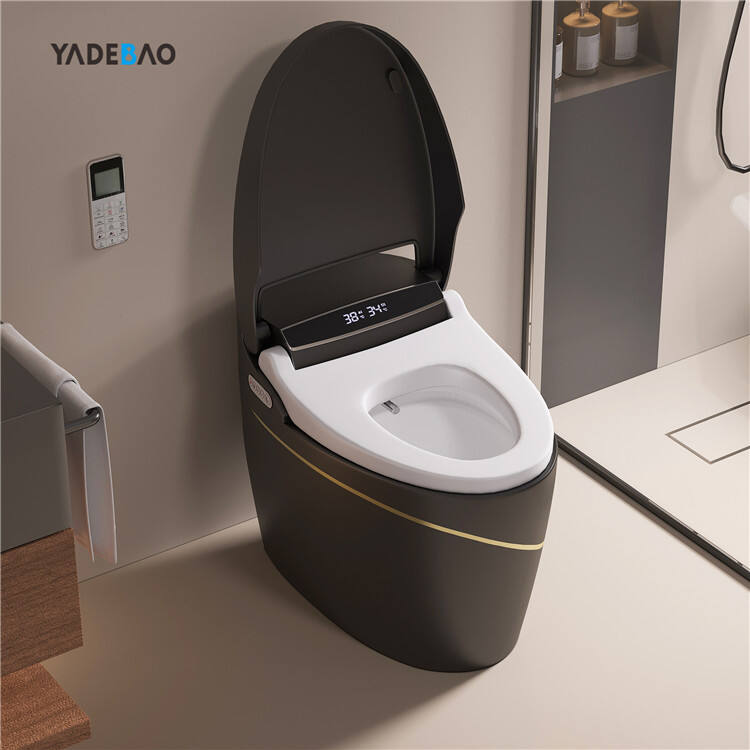 Wholesale Luxury Black Gold Bathroom Wc Intelligent Toilet Bowl Automatic Flush Ceramic Toilet Bathroom Smart Toilet details