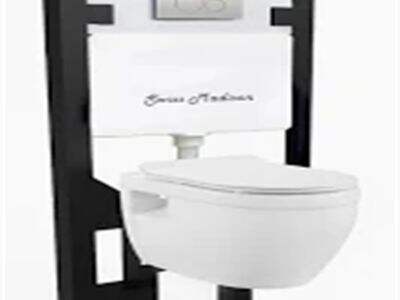 One Piece Toilet Why Its Gaining Popularity in New Builds