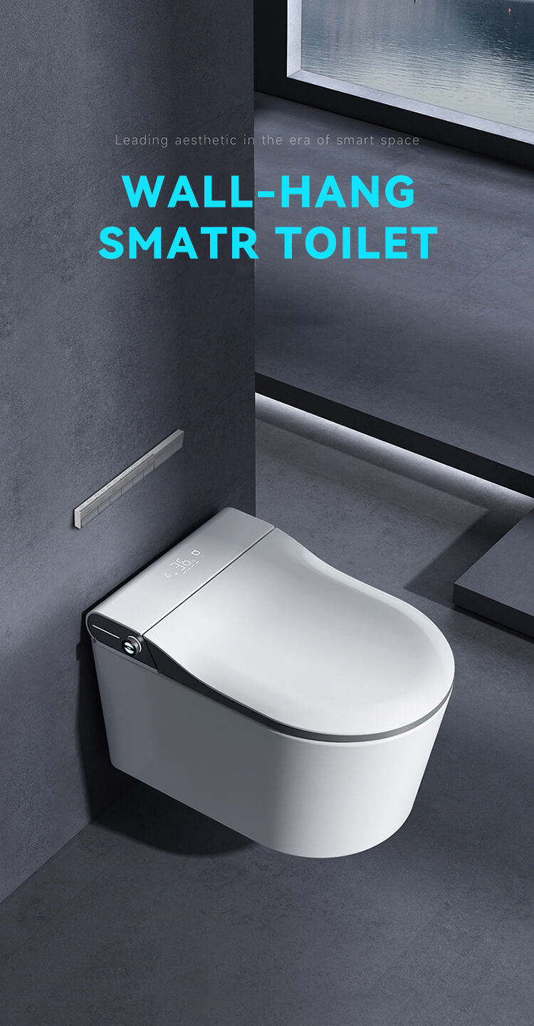 Concealed Cistern Back To Wall Intelligent Wc Wall Hung Toilet Bowl Automatic Toilet Bidet Bathroom Wall Hung Smart Toilet supplier