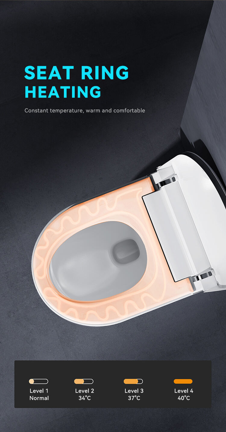 Concealed Cistern Back To Wall Intelligent Wc Wall Hung Toilet Bowl Automatic Toilet Bidet Bathroom Wall Hung Smart Toilet factory