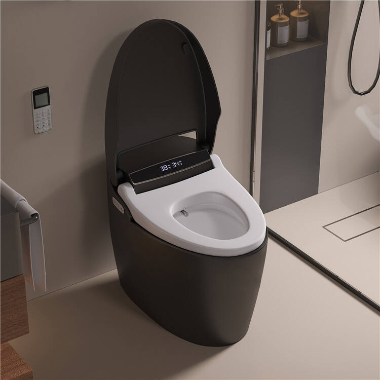 Luxury Automatic Flush Wc Intelligent Toilet Bowls Bathroom Ceramic Intelligent Wc Black Smart Toilet manufacture