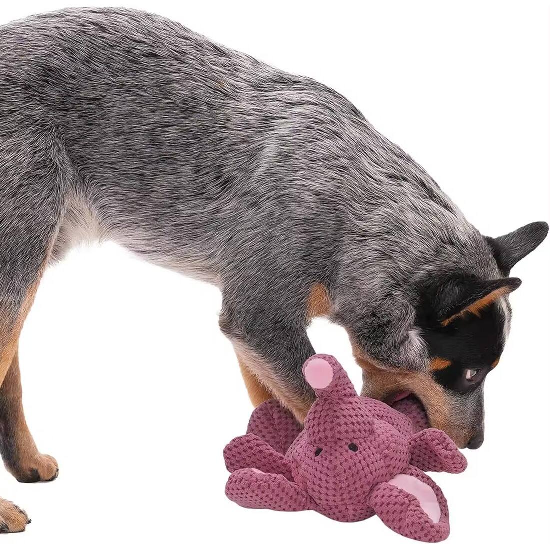 Elefant Hund Kau spielzeug Quietschendes Plüsch Haustier Hundes pielzeug details