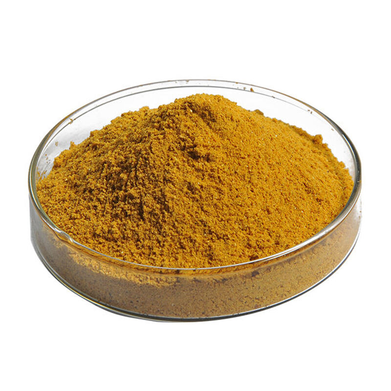 Corn Gluten Meal (CGM) 60% animal feed for poultry and livestock from Chinese manufacturer