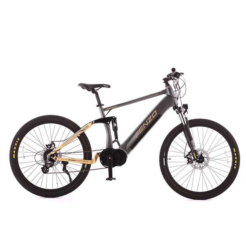 Electric Mountain Bikes: The Ultimate Hybrid for City and Trail Riding