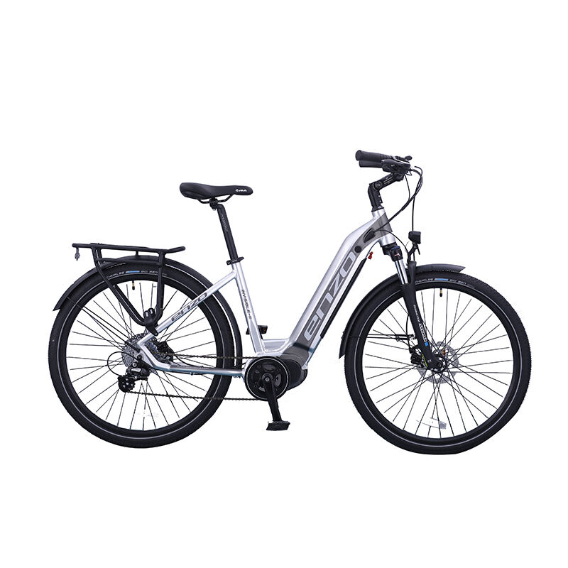 Transform Your Daily Commute with Mountain Style Electric Bikes