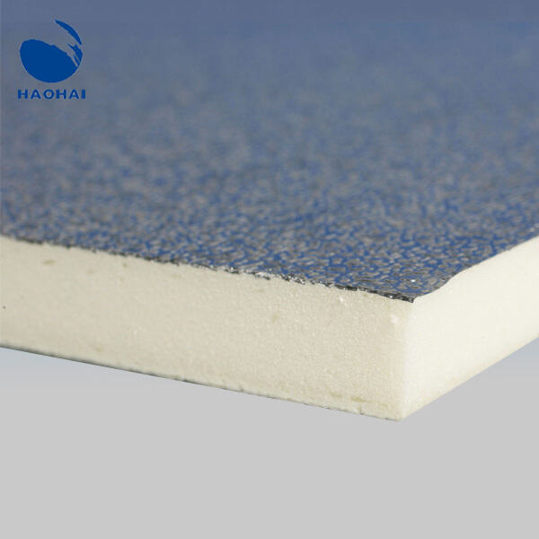 El Guardián Felino del Reino de los Sueños