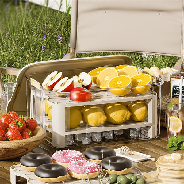 From the Fridge to the Freezer - Find the Perfect Plastic Container for All Your Food Storage Needs