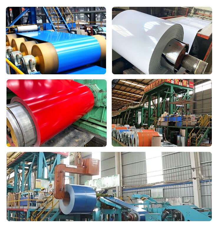 Customized Size PPGI Prepainted Galvanized Steel Coil Dx51d PPGI Sheet Coil 9002 PPGI Galvanized Steel Coil supplier