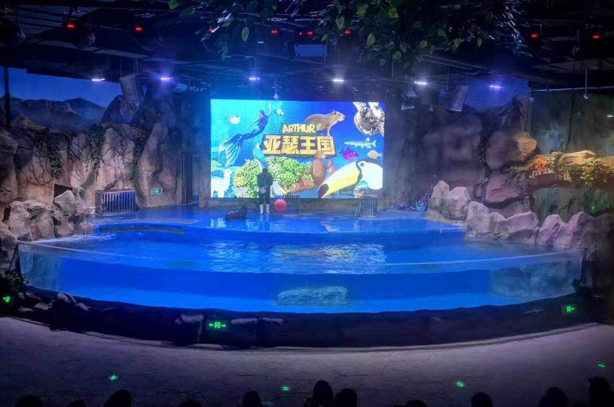 北京アーサー王国水族館、中国