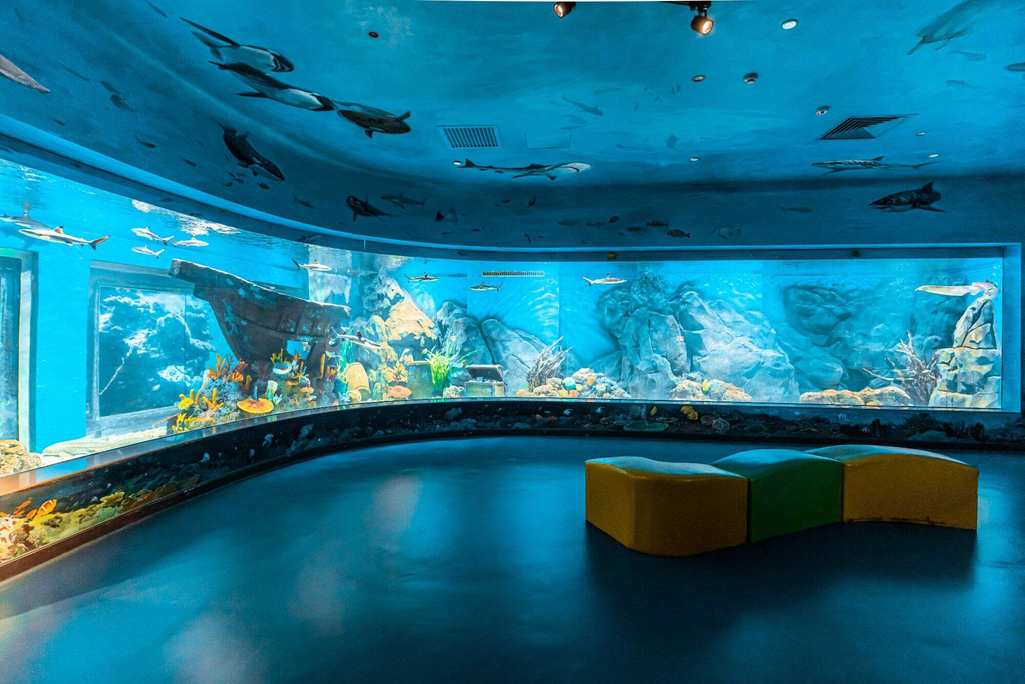 اولین Oceanarium ماهی آب شیرین چین در یونان