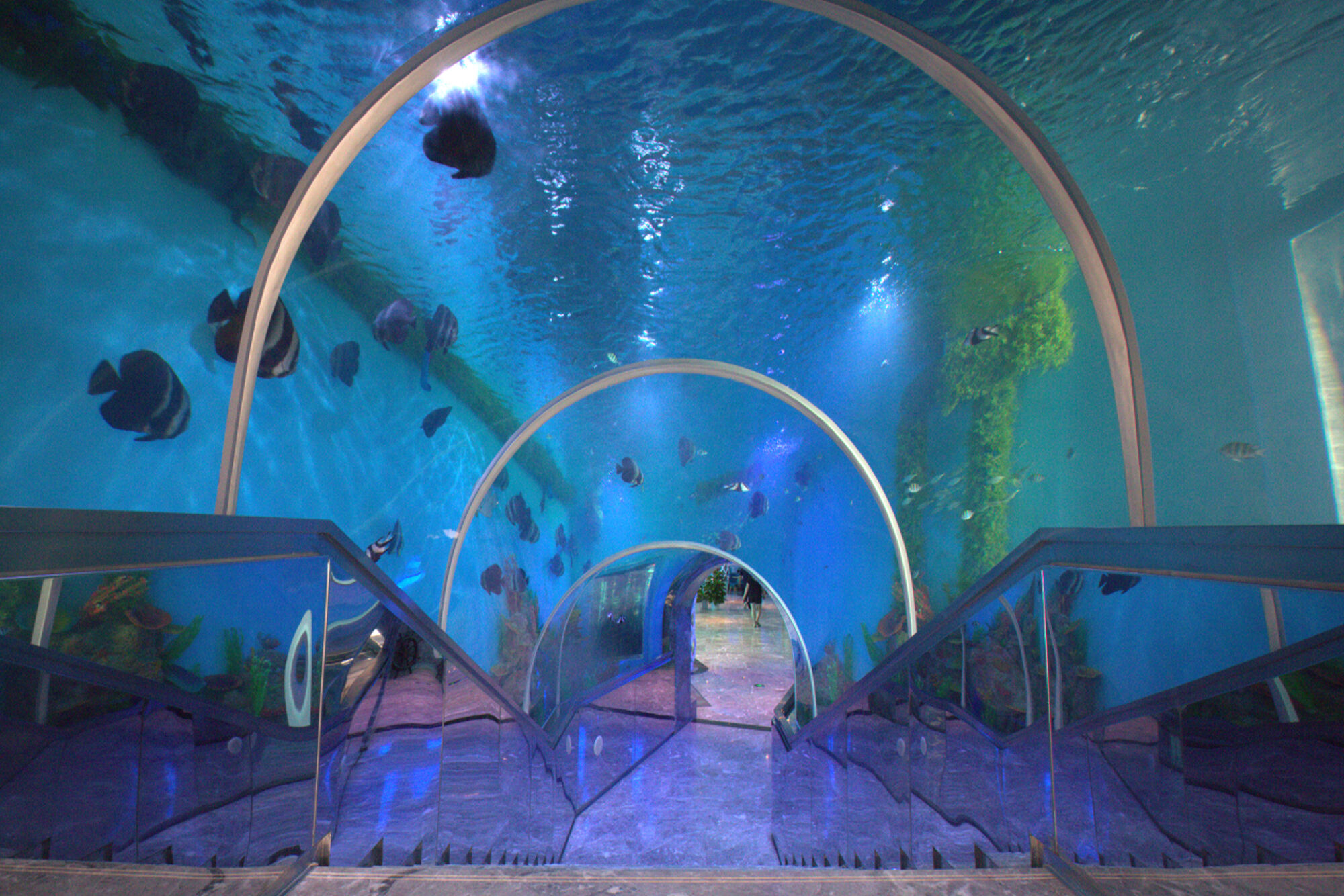 Sanya J'taime Acrylic Underwater Restaurant Aquarium