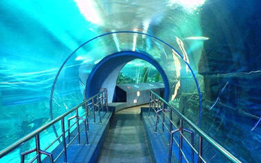 Underwater Tunnel Aquarium Expo with 180-degree view opens in Hyderabad: Here are details