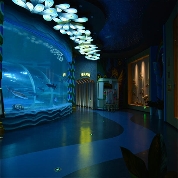Get Up Close with Majestic Turtles in Their Abode