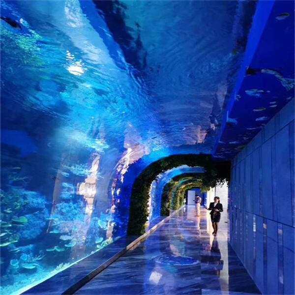 A Mesmerizing World of Color and Life Within a Huge Reef Aquarium