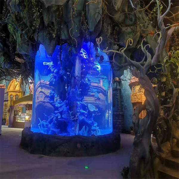 More Articles... Aquarium Cylinders as a Creative Outlet!
