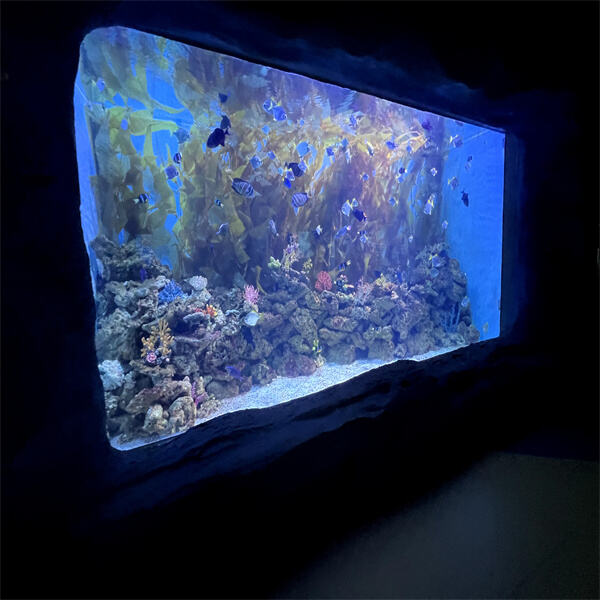 Balancing the Expense and Value of a Large Saltwater Aquarium