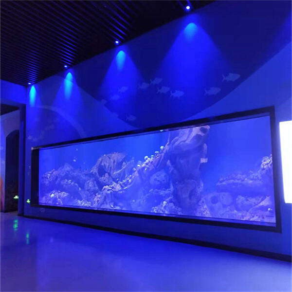 The impact of a colossal fish tank in your space