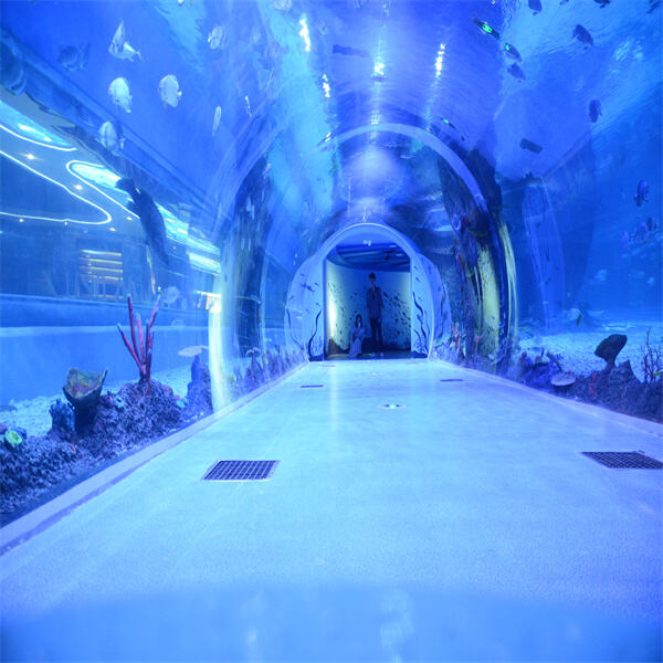 Ang Fish Aquarium Tunnel