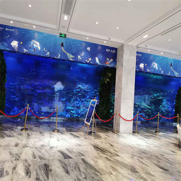 Maximizing space and budget with a large fish tank