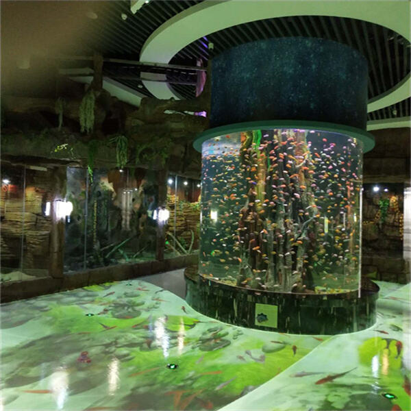 The thrill of a massive fish aquarium display