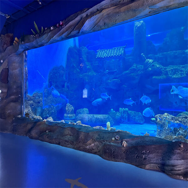 Bring a touch of nature indoors with our fish tank collection