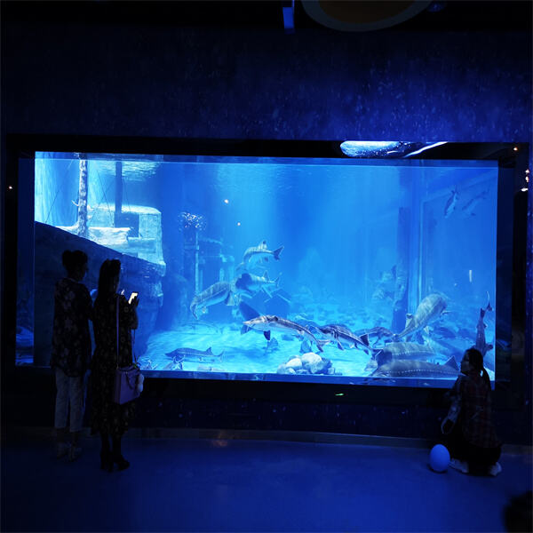 The Factors that Determinate the Price of a Big Fish Tank