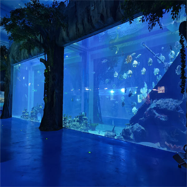 Create a Stunning Aquatic Display with an Acrylic Fish Aquarium