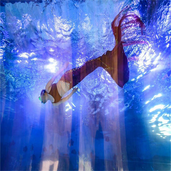 Transform any space into an underwater wonderland with our spacious acrylic aquariums