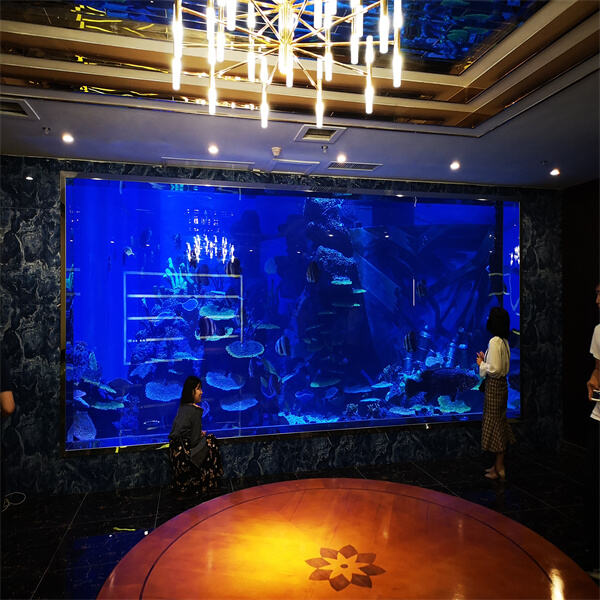 The Benefits of Owning a Large Fish Tank Aquarium