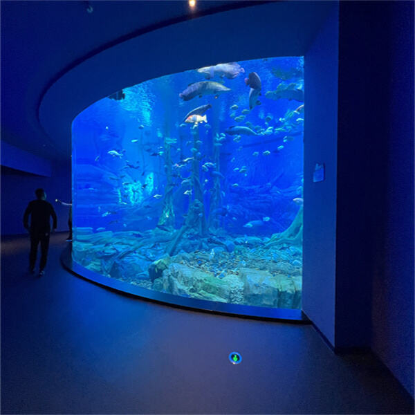 The colossal freshwater aquarium