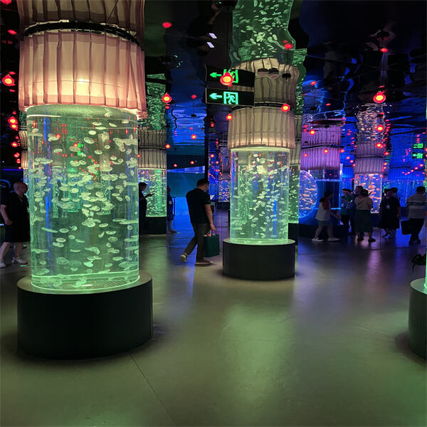 Change the Look of Your Living Space with Contemporary Style Cylinder Shape Aquariums